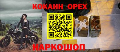 крисы Ливны