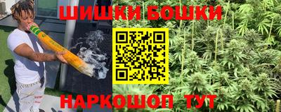 крисы Ливны
