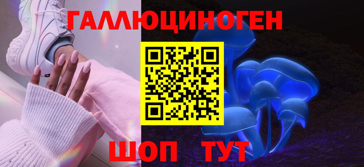 Псилоцибиновые грибы прущие грибы Знаменск
